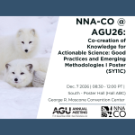 Picture of two arctic foxes with text about AGU SY11C session