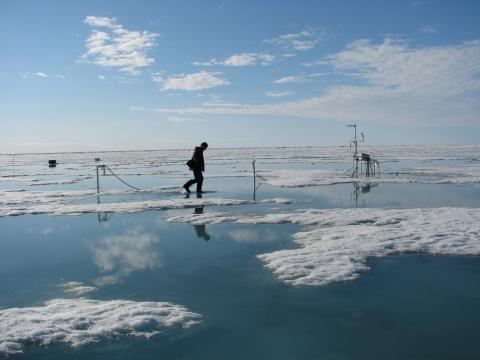 Walking across melt ponds
