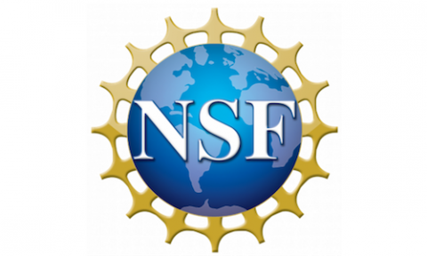 NSF Logo