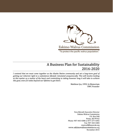 A Business Plan for Sustainability (2016-2020)
