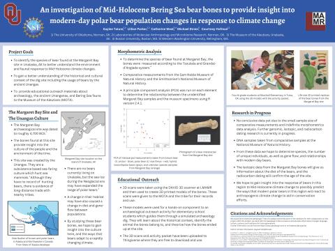 An investigation of Mid-Holocene Bering Sea bear bones to provide insight into modern-day polar bear population changes in response to climate change poster