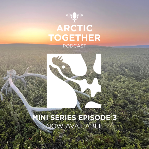 Arctic Together Mini Series Episode 3