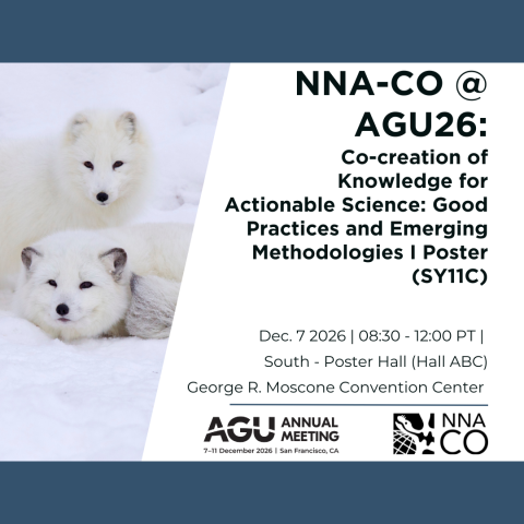 Picture of two arctic foxes with text about AGU SY11C session