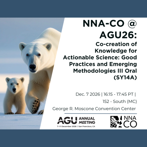 Picture of two polar bears with information about the AGU session SY14A