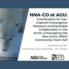 Coordination for Use-Inspired Convergence Research and Equitable Collaboration in the Arctic: A Navigating the New Arctic (NNA) Community Town Hall (TH45I)