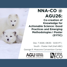 Picture of two arctic foxes with text about AGU SY11C session